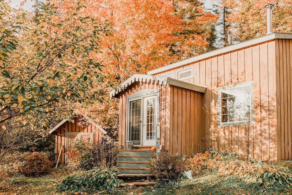 Fairytale cabin at The Wild Farm
