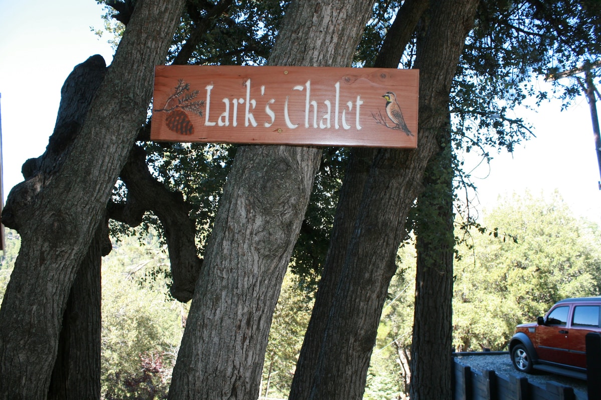 Lark 's Chalet-Idyllwild-Pine Cove/允许携带宠物入住