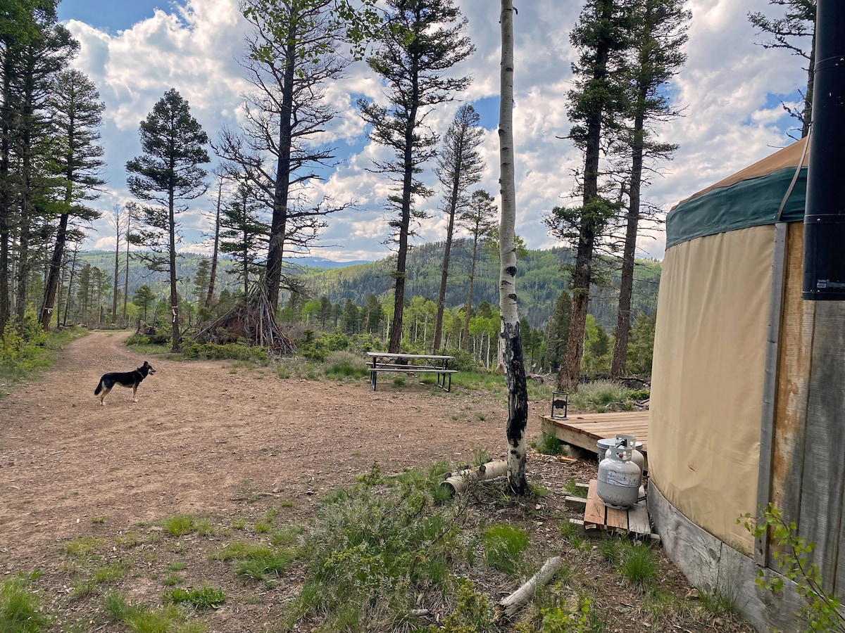 Latir Hike-in 20-foot Camping Yurt