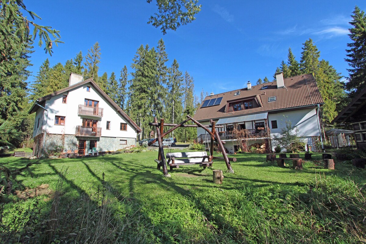 Forest house Tatra room x 2, Tatranska Strba