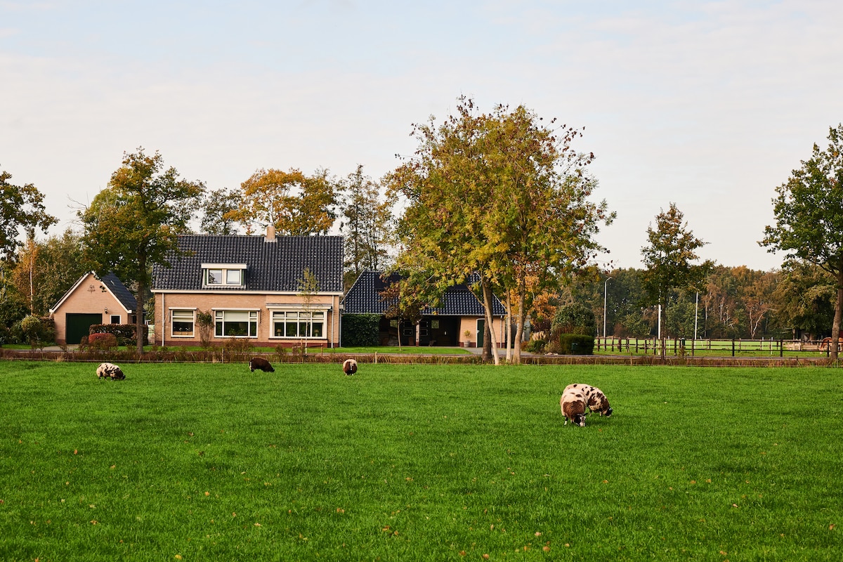 Luxe appartement, kom geheel tot rust! Privekamers