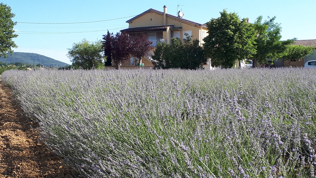 Lou Christou小屋位于Gard和Ardèche之间