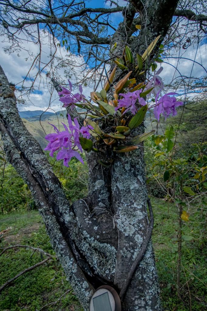 Vilcabamba casa/granja Vilcabamba民宅/农场