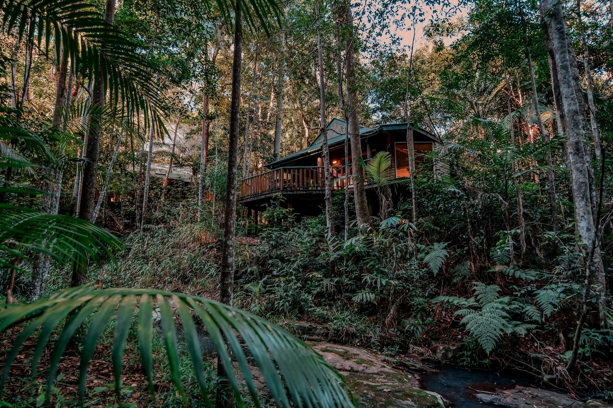 Luxury Rainforest Villa with Private Pool