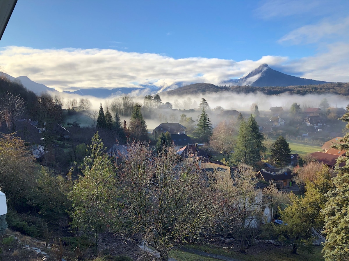 阿讷西湖（ Annecy Lake ）和山脉的壮丽景色