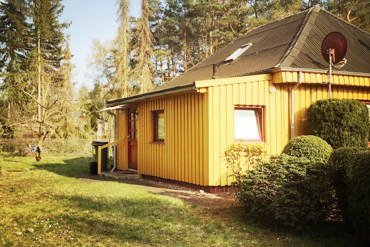 黄色木屋，位于施泰因胡德米尔河（ Steinhuder Meer ）的马多夫（ Mardorf ）附近