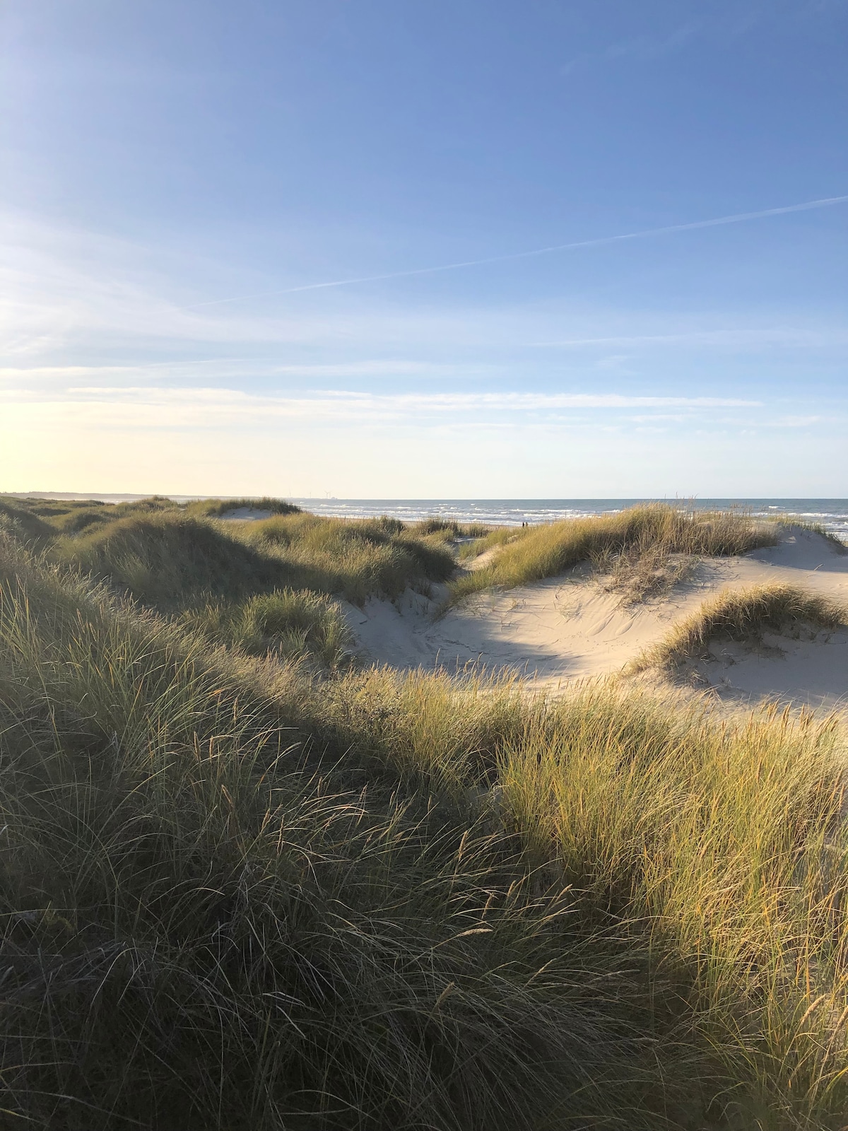 Hyggeligt sommerhus