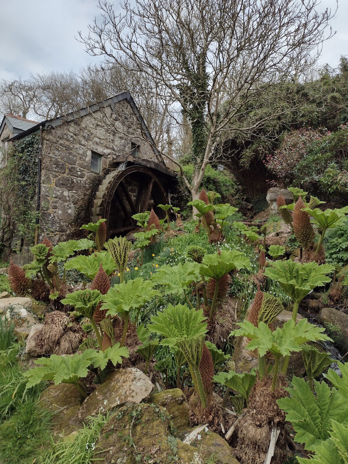 Mill House in the heart of West Penwith Cornwall