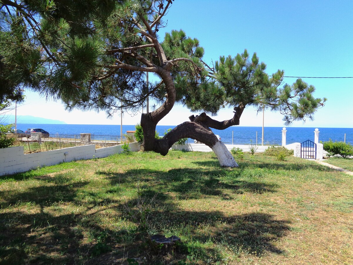 Κληματαριά 2 - Παραθαλάσσιο Σπίτι με κήπο