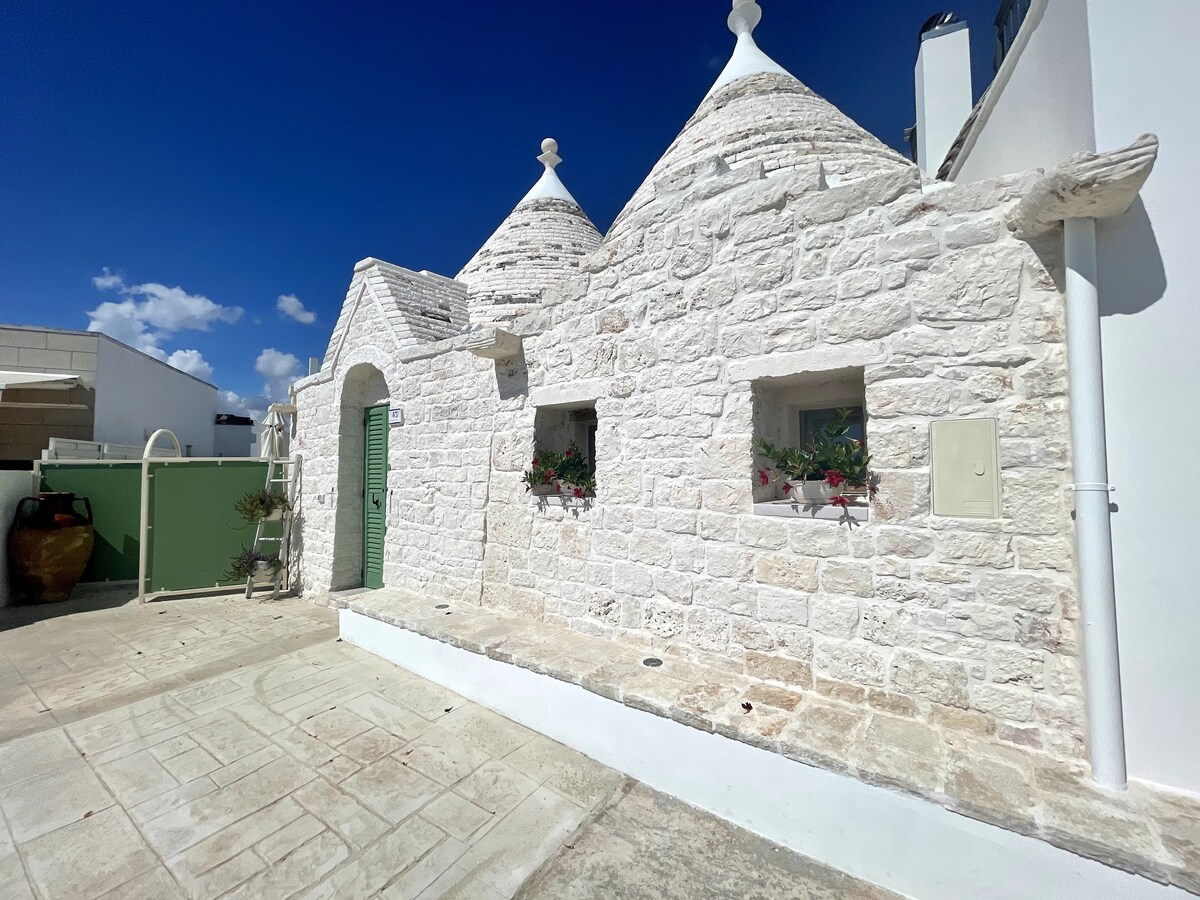 VALLE D'ITRIA ✯✯✯✯✯ Trullo sul Monte