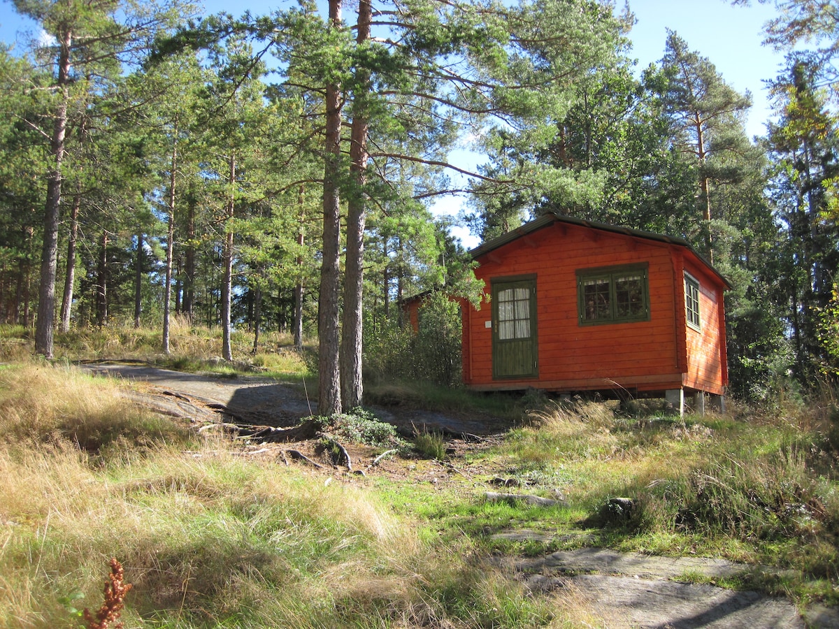 koselig hytte i skogen nær vann