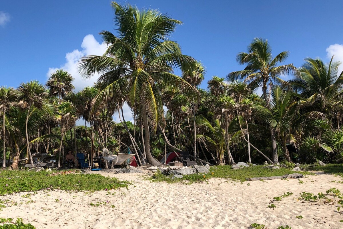 在私人加勒比海滩保护区重新建立联系