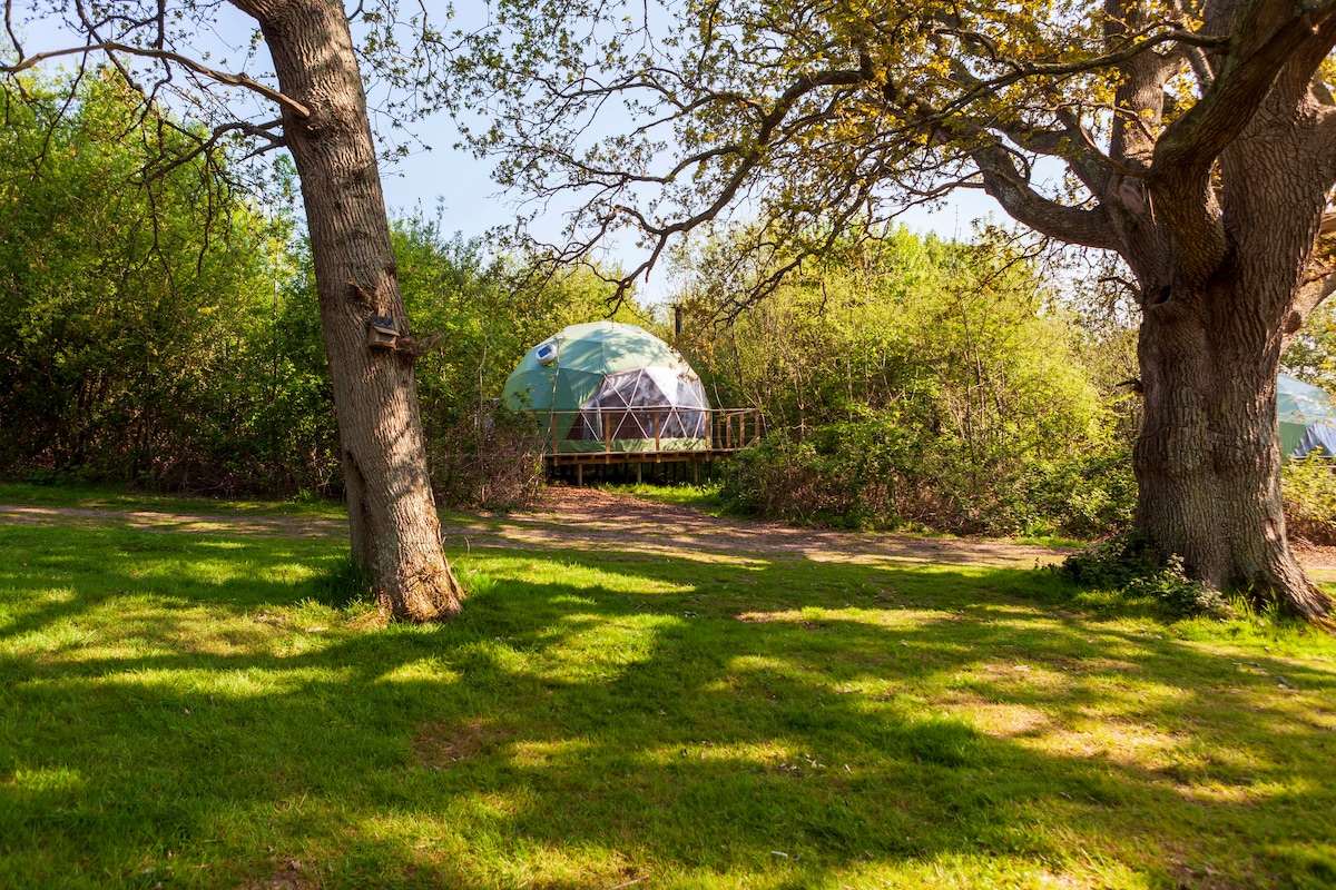 Glamp Wight Oak Geodesic Dome on the Isle of Wight