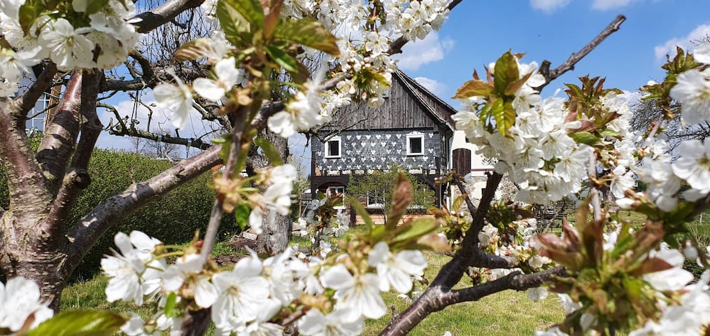 Bernstadt auf dem Eigen的民宿