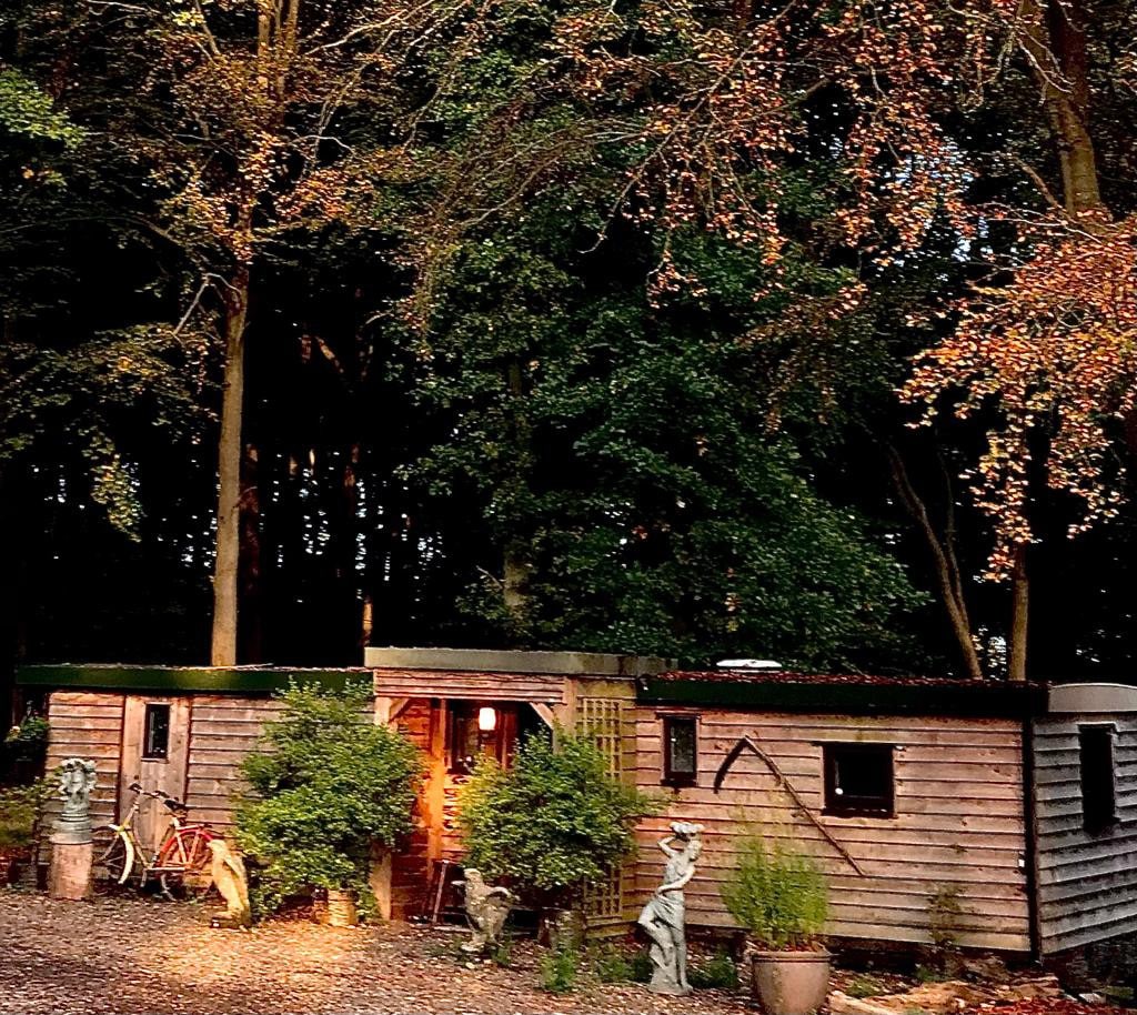 舒适的林地小木屋-提供长期住宿