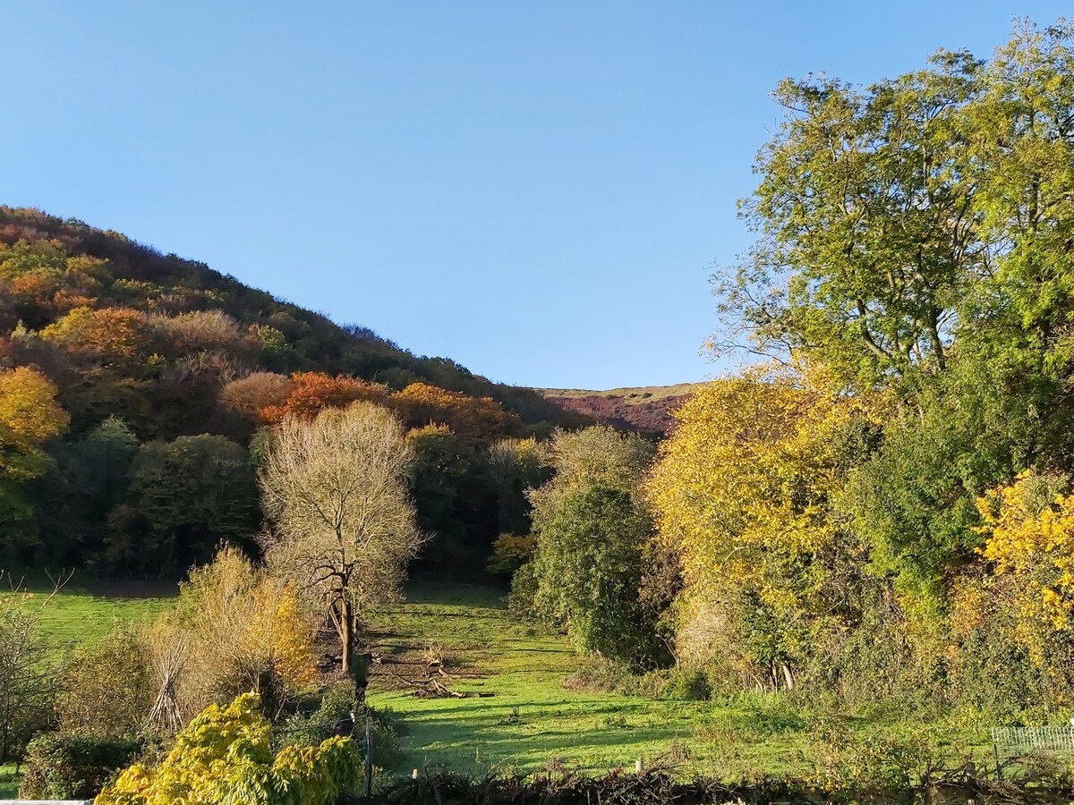 迷人的小屋，可欣赏山景和林地景观