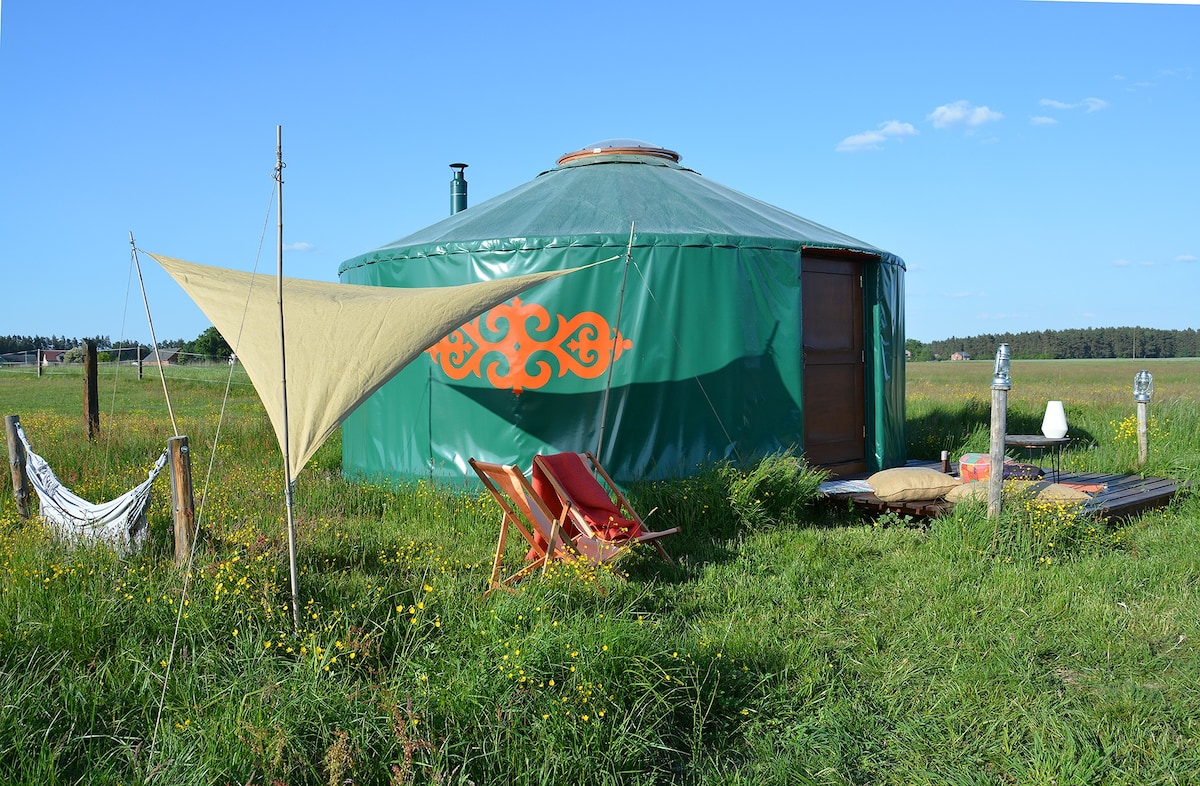 Morgi na Łebkach - Dzika Yurt