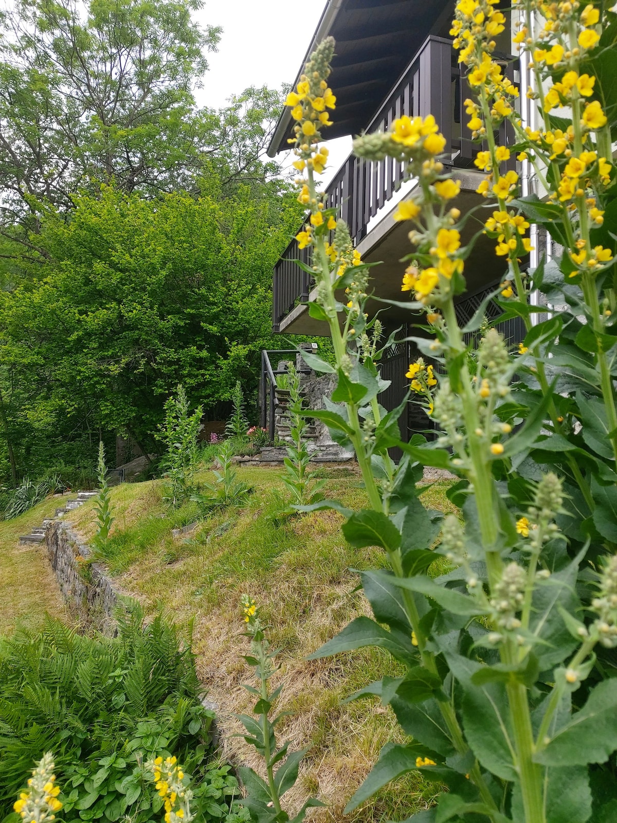 House with big garden, Resa Valley, Locarno