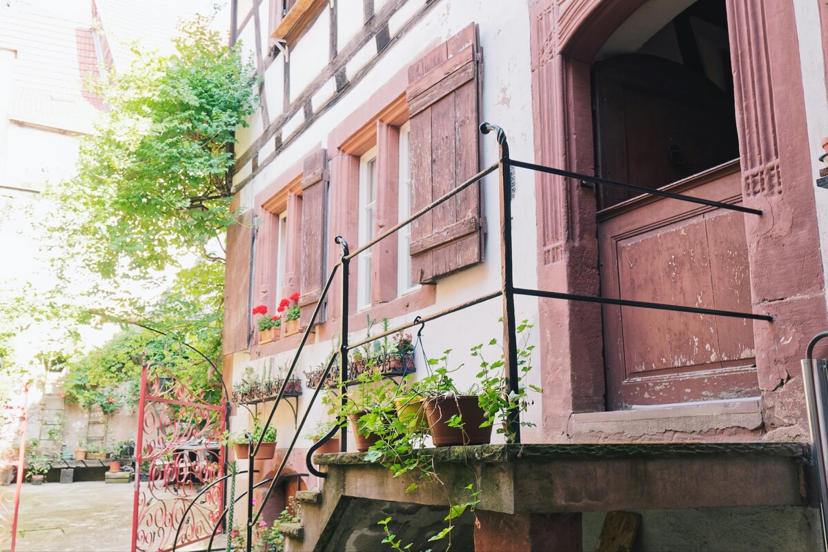 Le Haut Relais Des Seigneurs - WIFI - Centre Ville