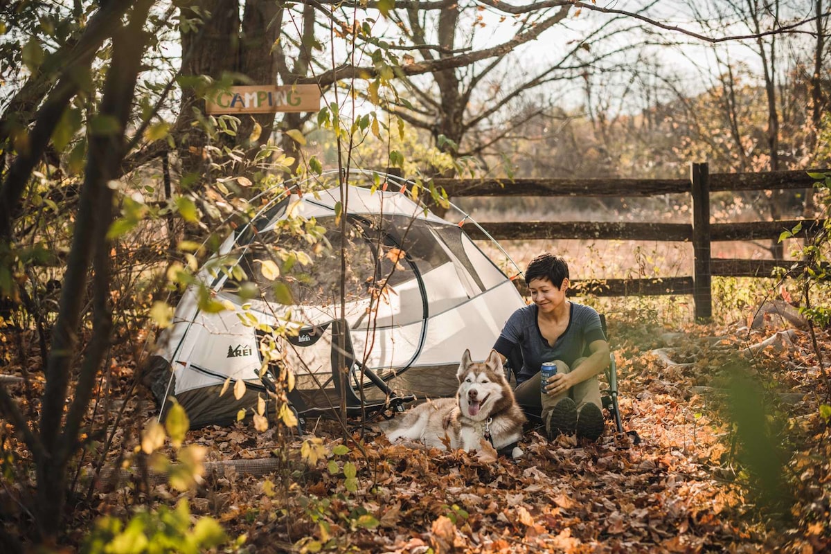 露营地（帐篷） @ Dharma Bums生态营地/家园