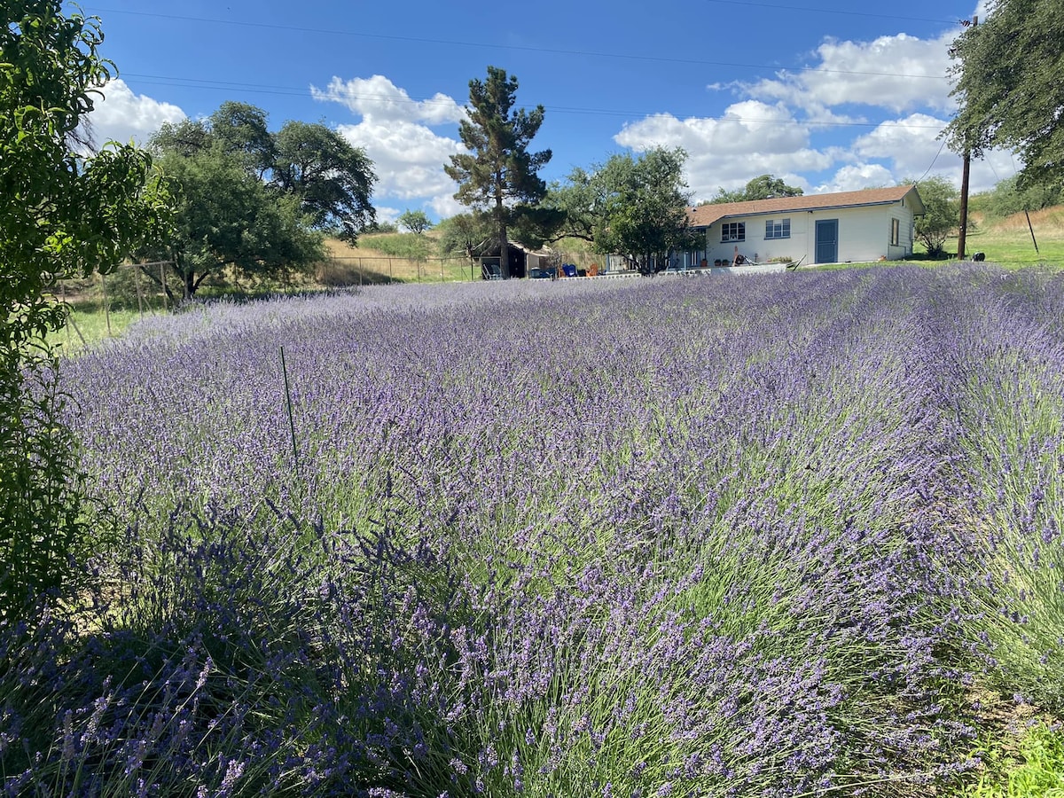 Wild Oak Lavender and Goat Farm的小屋