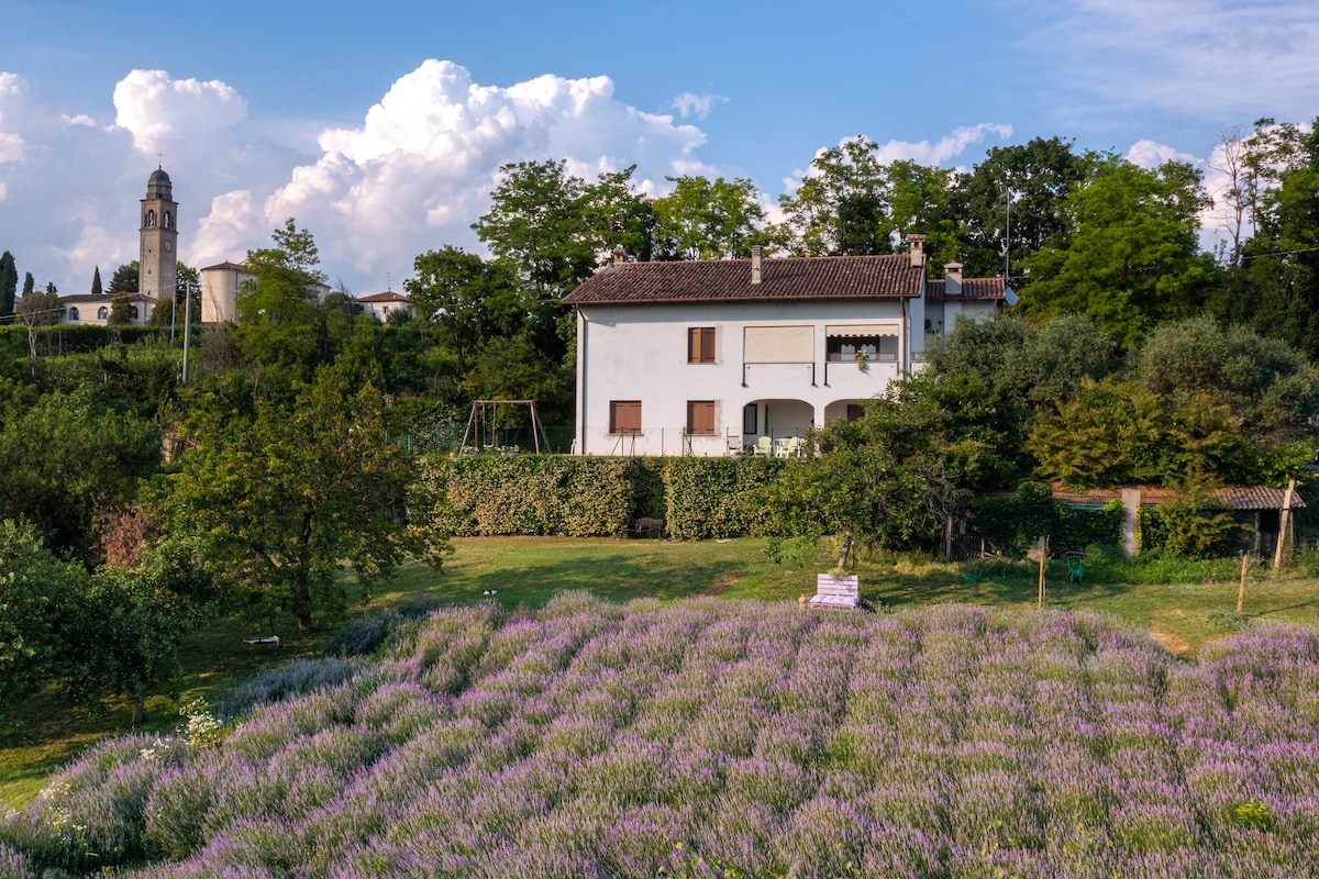 Tenuta La Lavanda