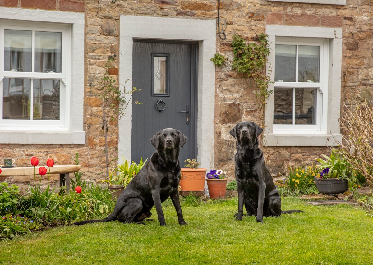 Rose Cottage: Beautiful Lakeland Home in Caldbeck