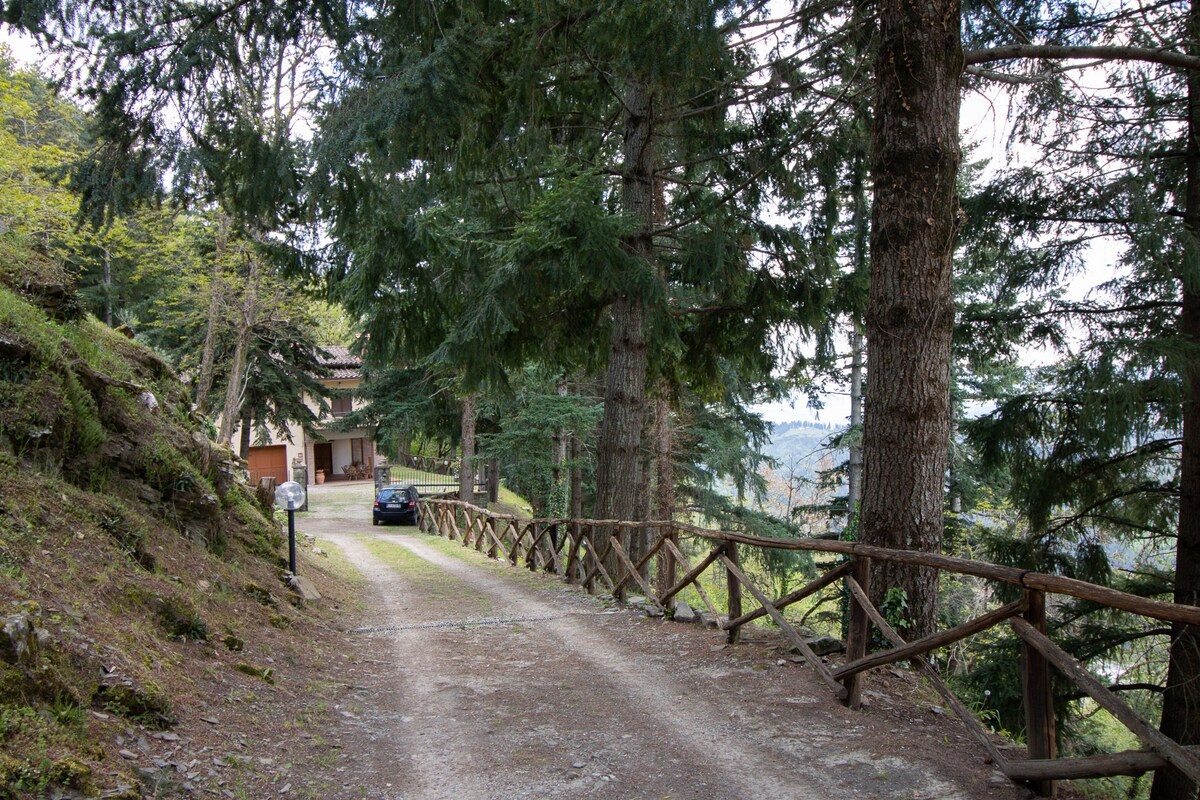 Villa Bruna, casa intera a Chitignano