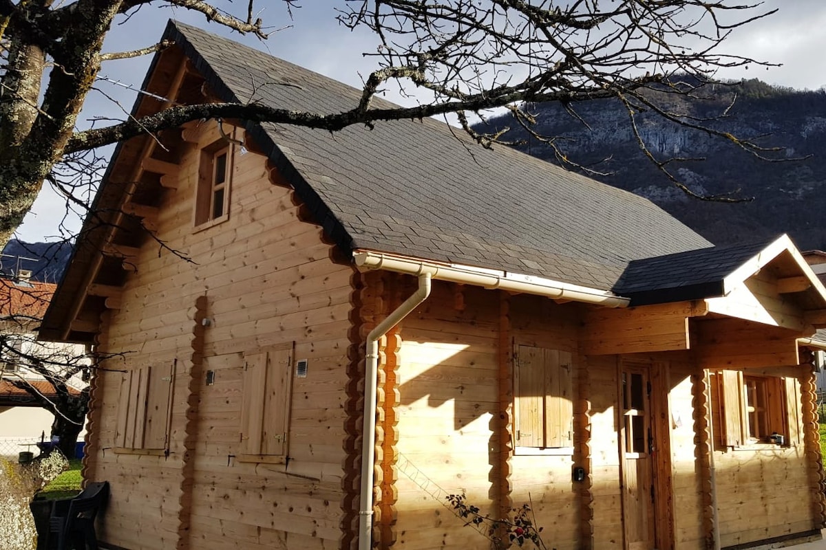 Grand chalet familial au pied des montagnes