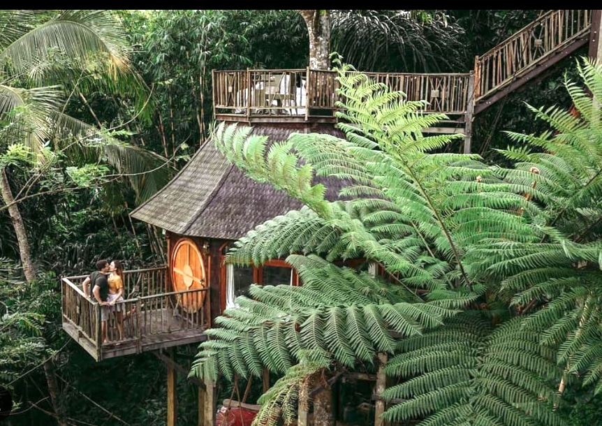 迷人的霍比特人树屋，坐落在丛林中