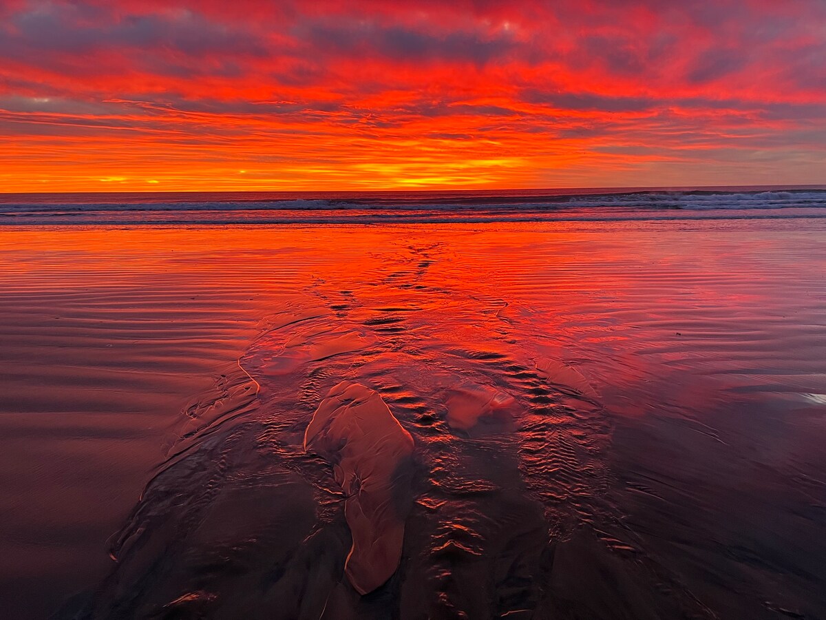 Beach Feet Retreat、Kaka Point、Catlins Coast