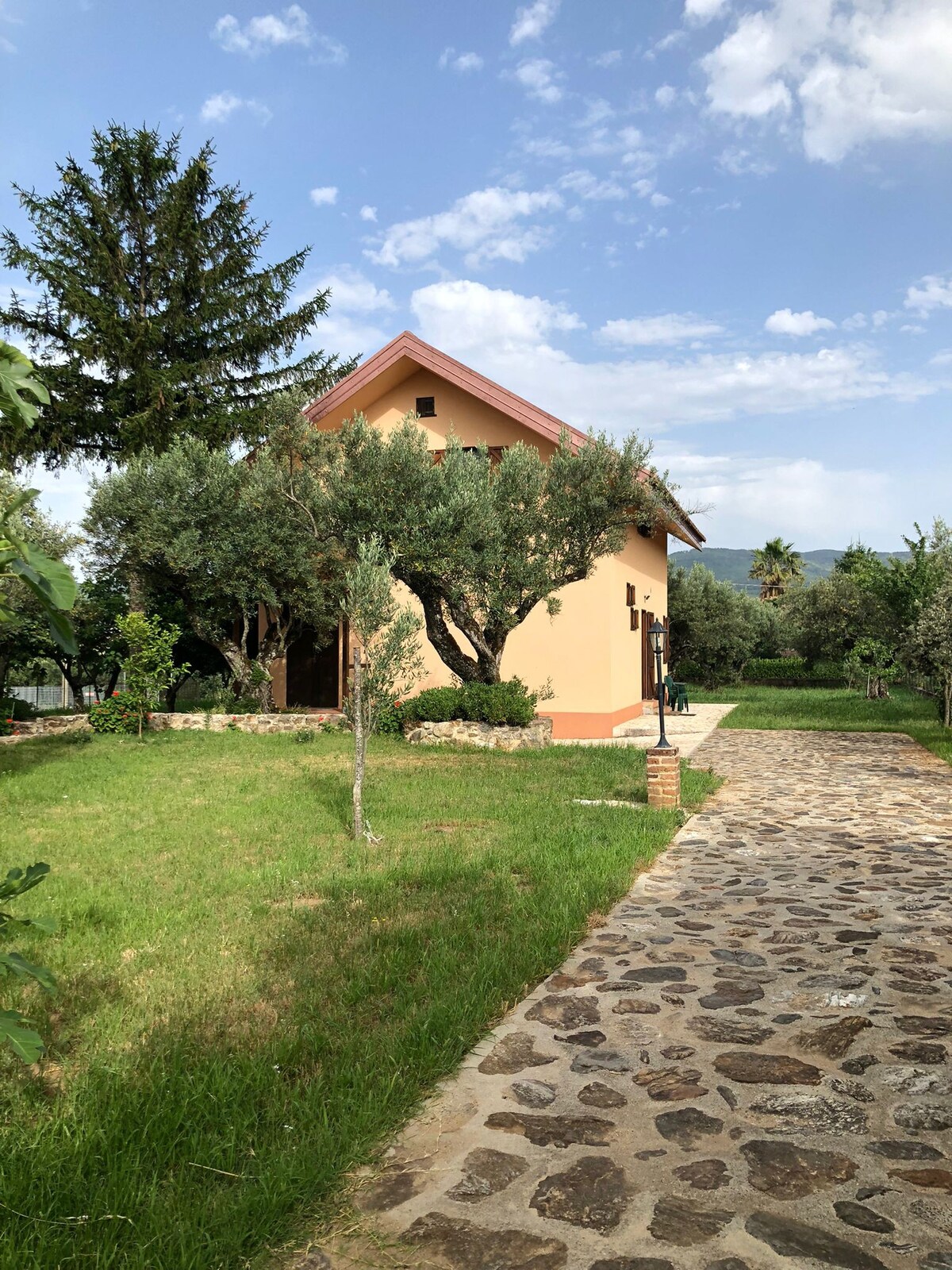 CASA BENIAMINO immersed in olive grove Jonio coast