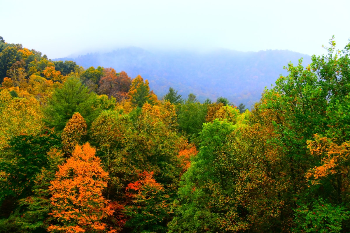 Bear Ridge Cabin with a Blue Ridge View!