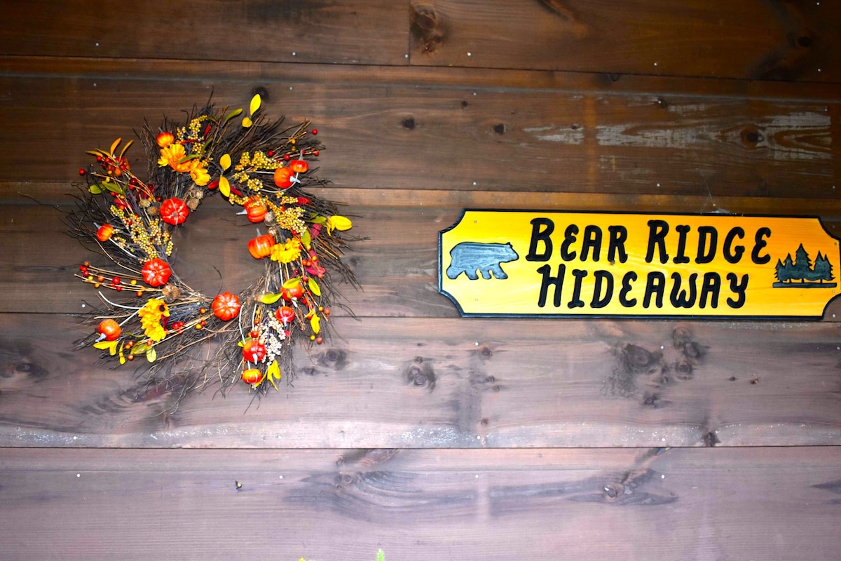 Bear Ridge Cabin with a Blue Ridge View!