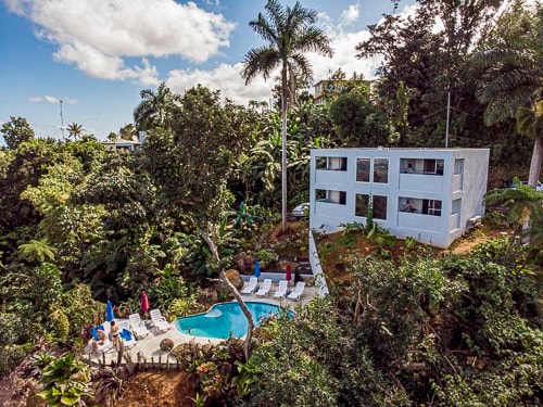 热带雨林单间公寓# 2游泳池、热带花园、景观