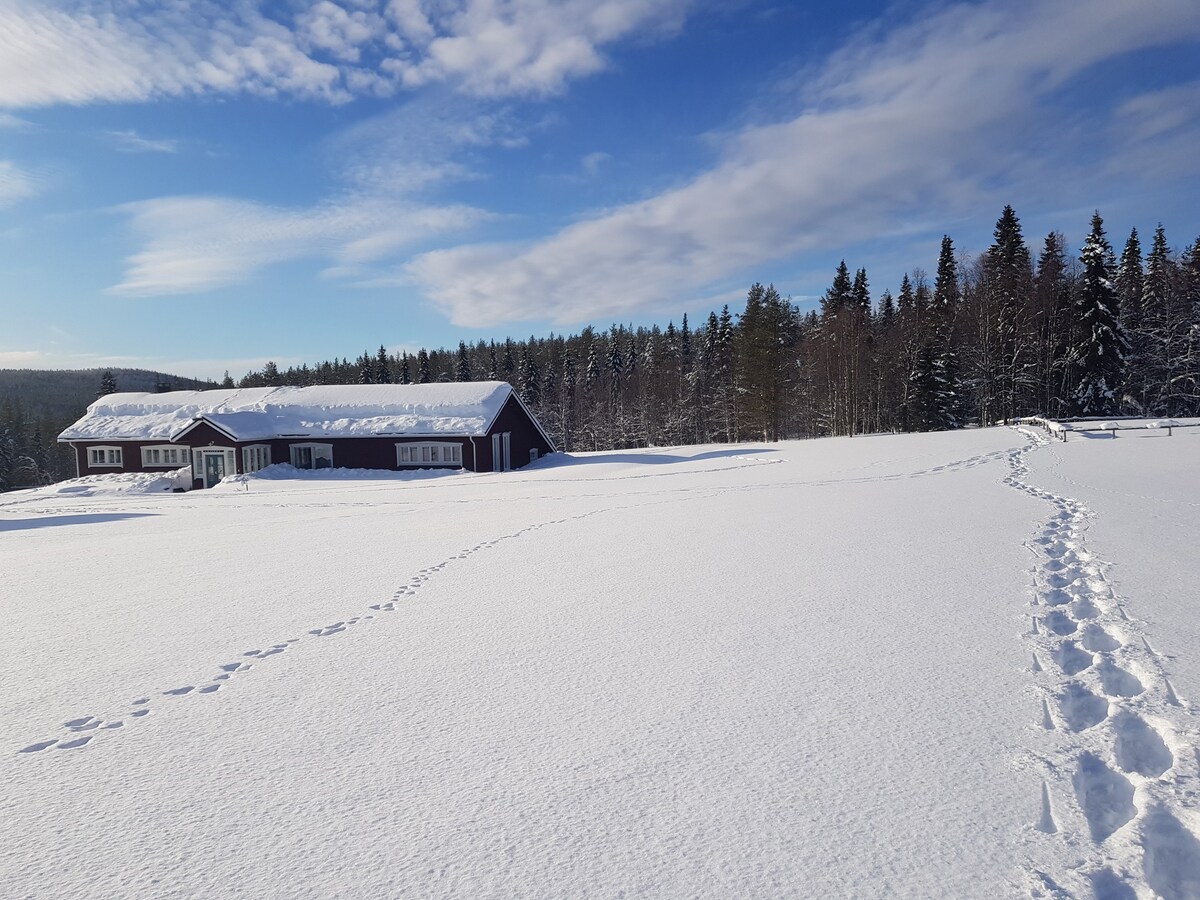 Grooppi – Live in style in the middle of Lapland