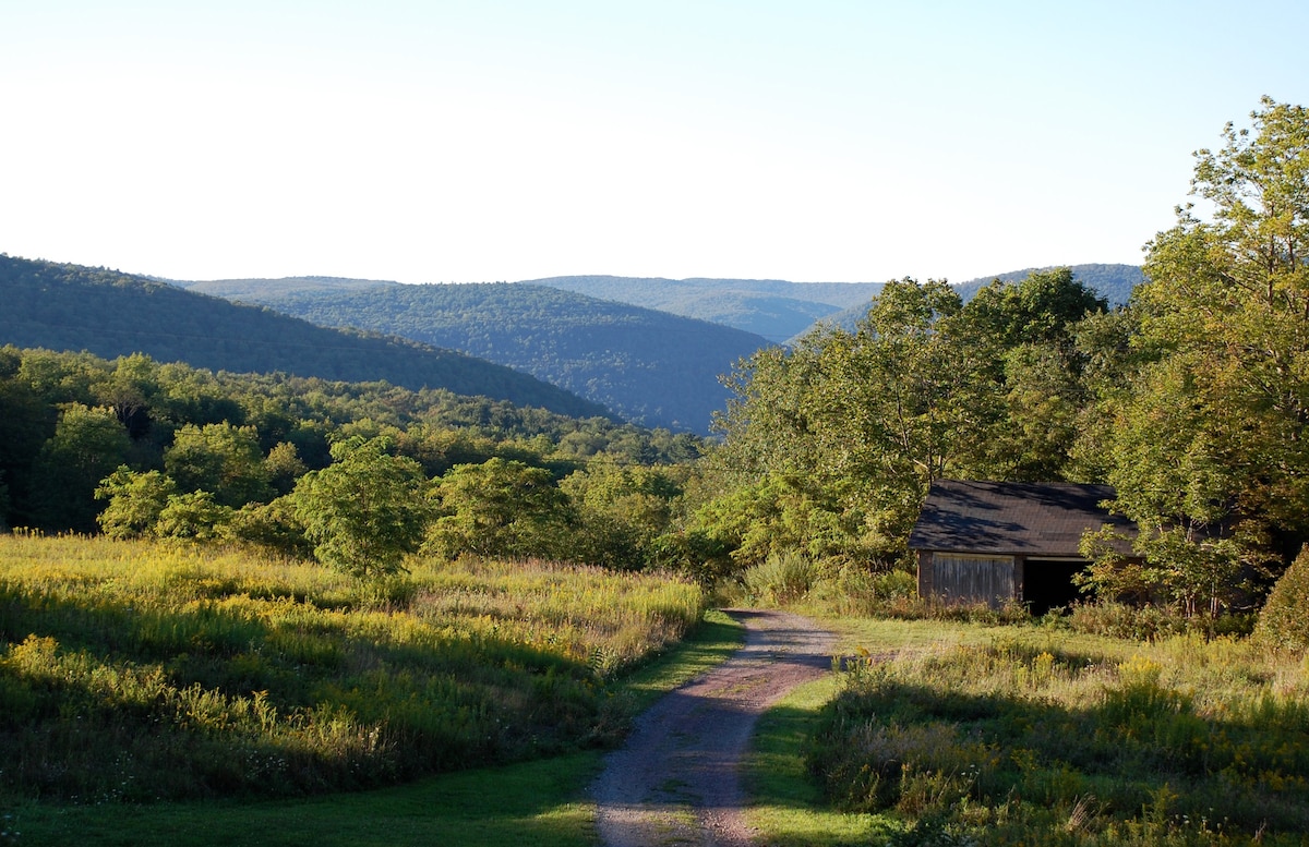 Lake View Log Cabin