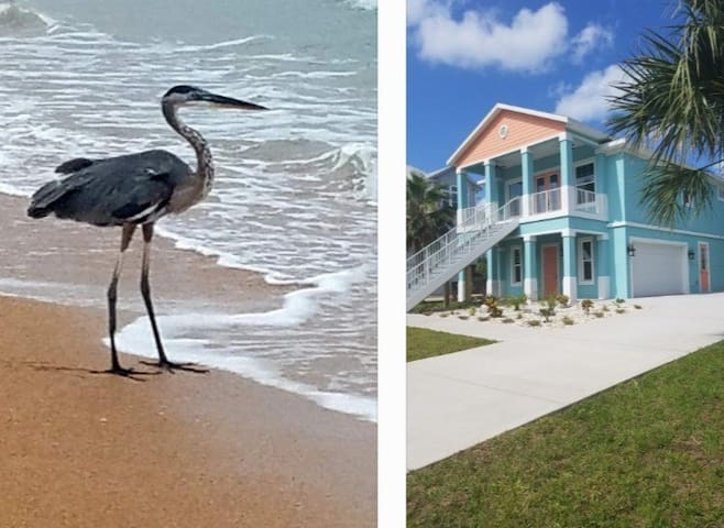 弗拉格勒海滩 (Flagler Beach)的民宿