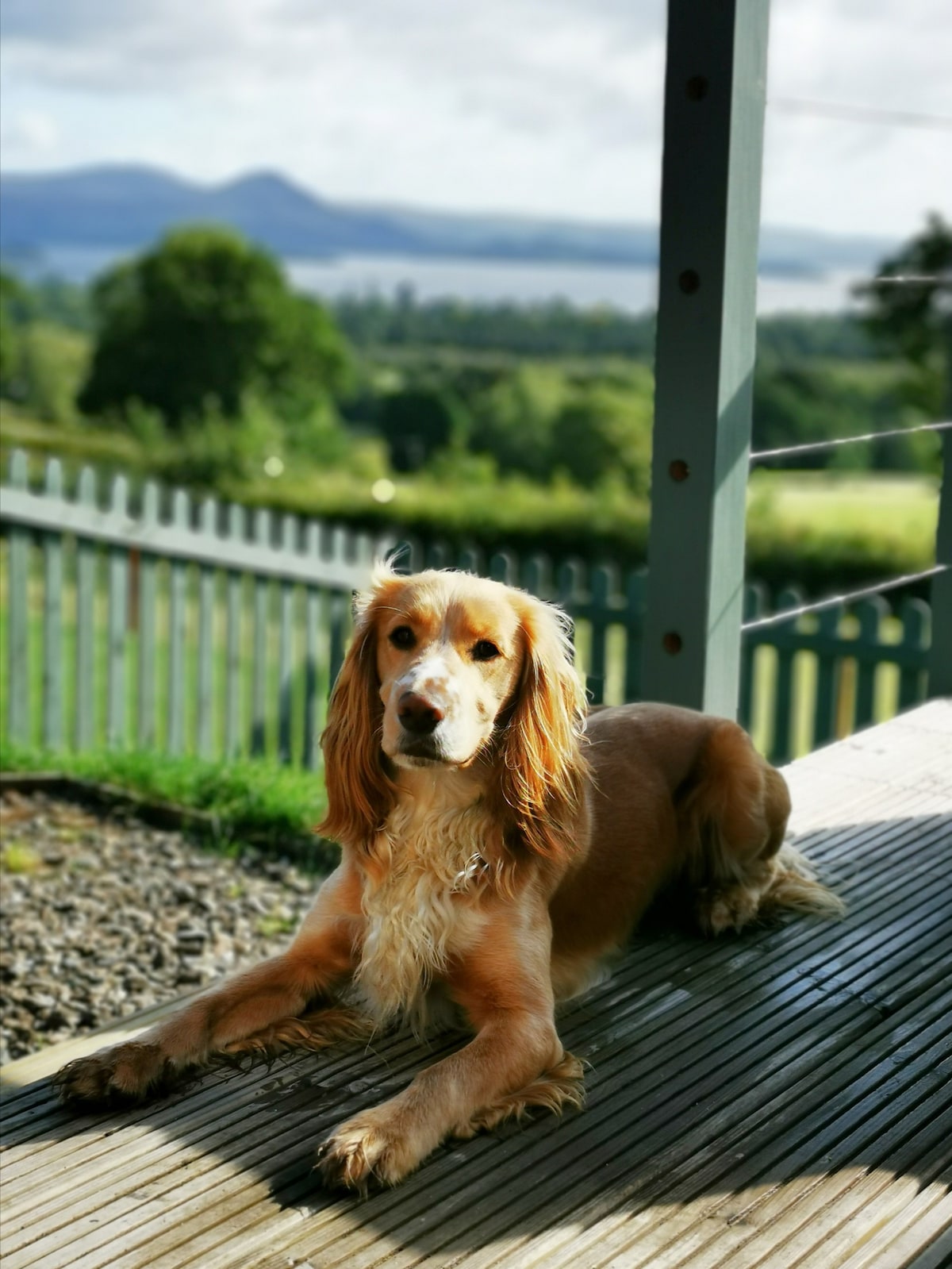 Bonnie Barns - Inchcailloch Barn ，带热水浴缸