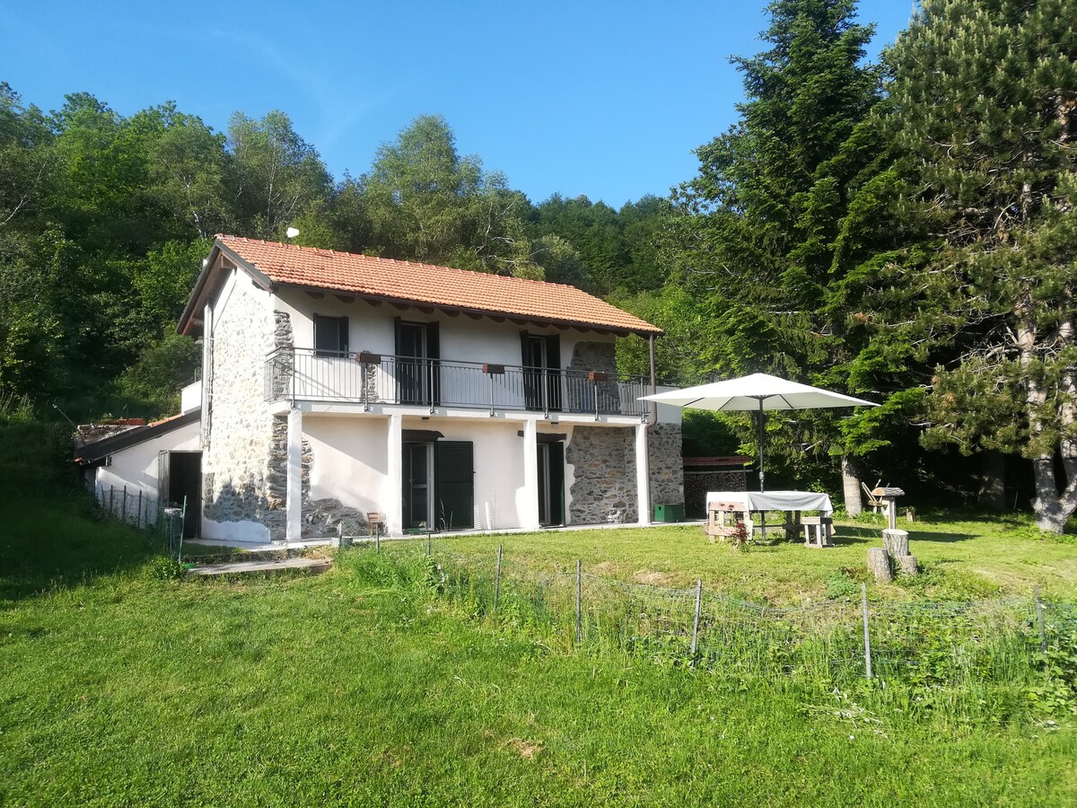 Casa indipendente immersa nella natura vista mare