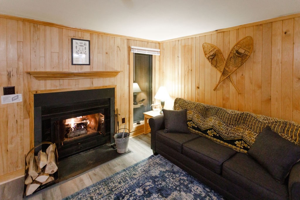 舒适公寓！滑雪和山景度假