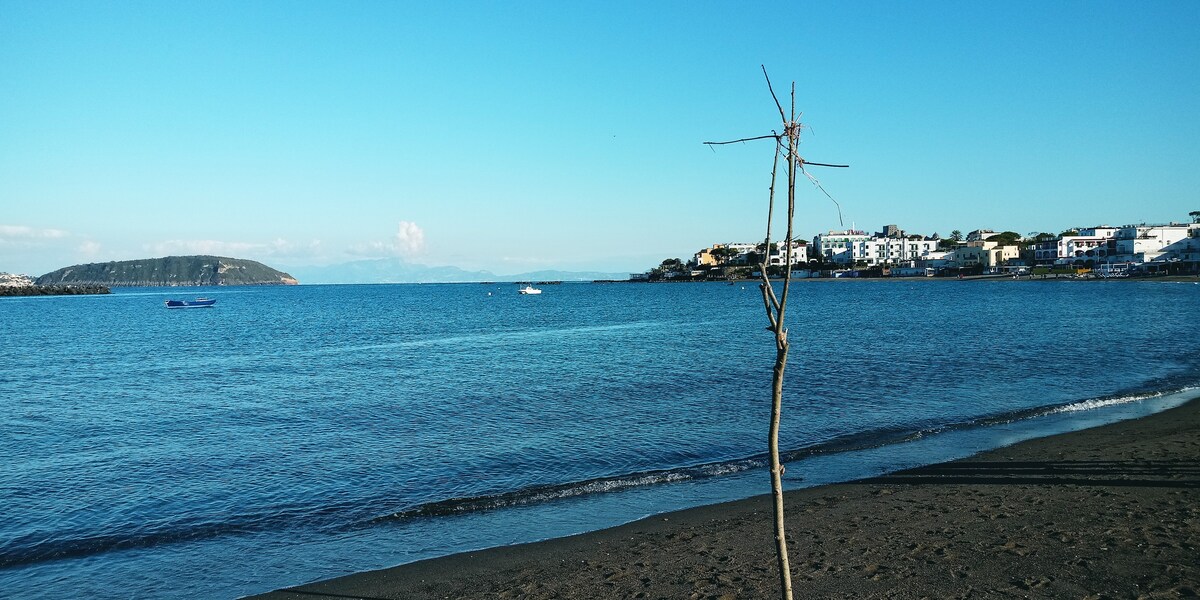 位于伊斯基亚历史中心的海滨海滨之家