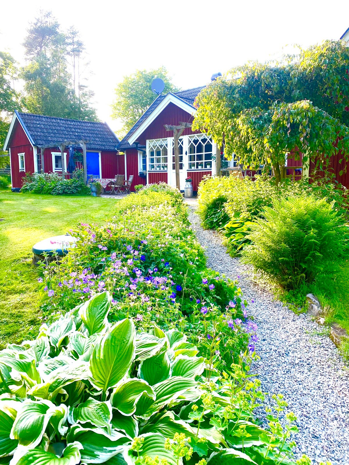 Cosy typical Swedish house in amazing nature.