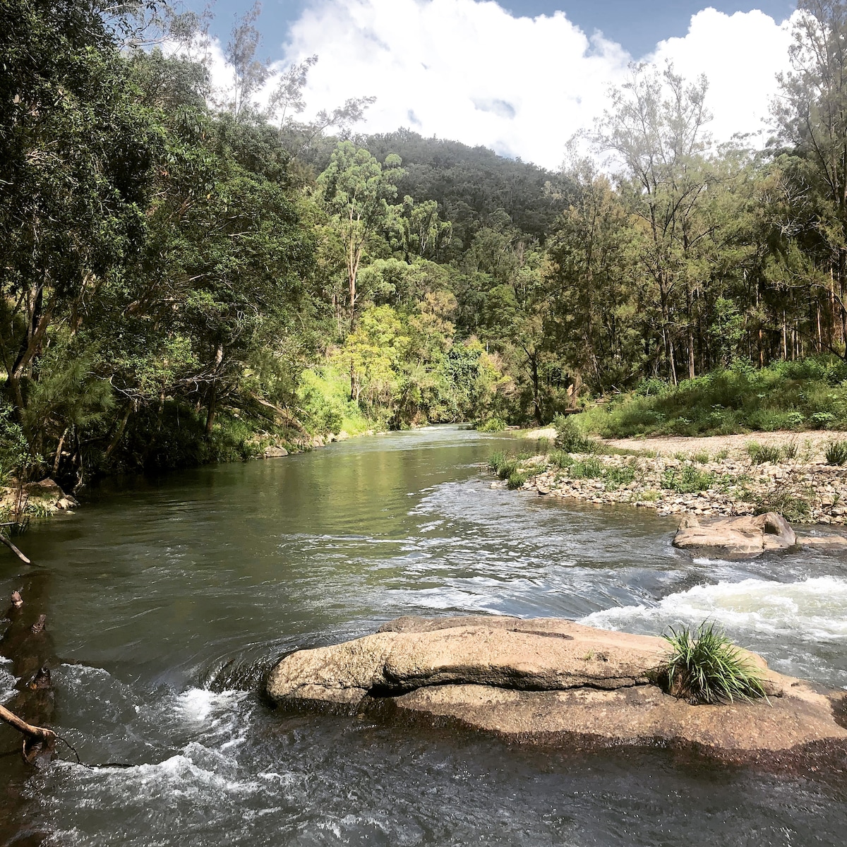 Wilderness Cottage Macleay Valley -狗友好