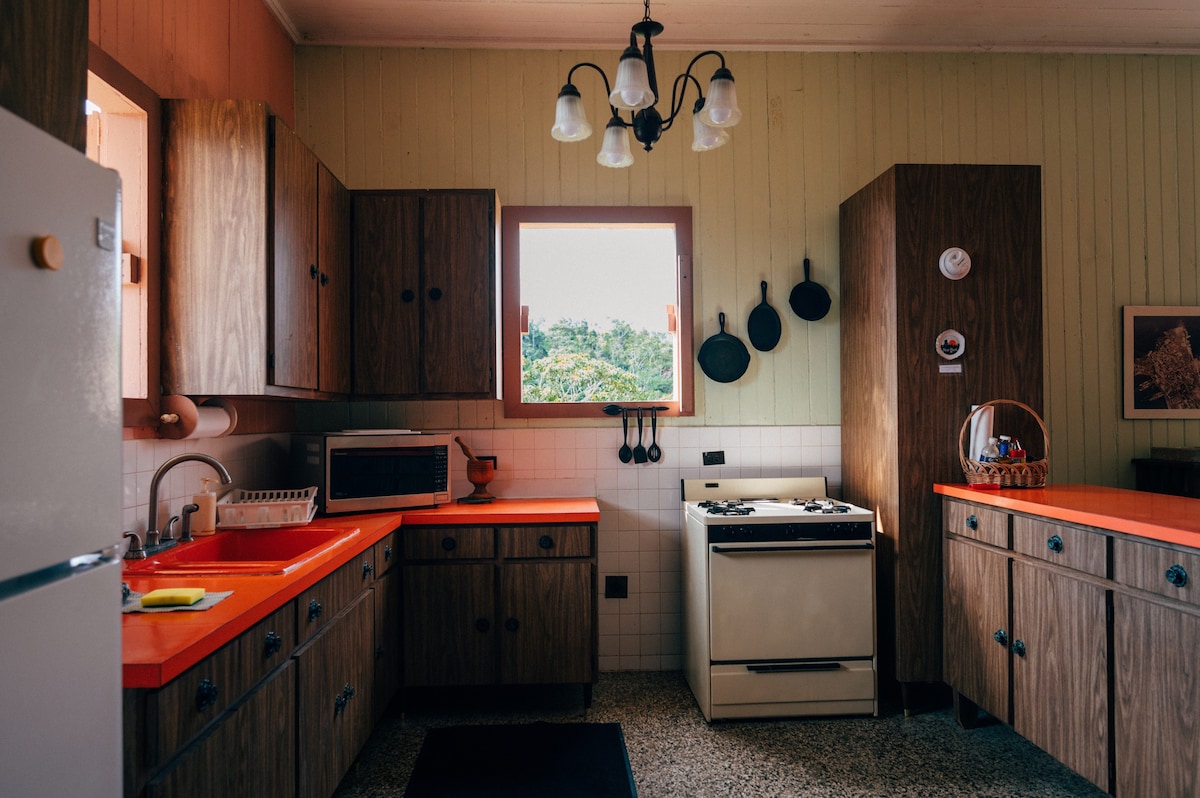 Cabin in the Mountain