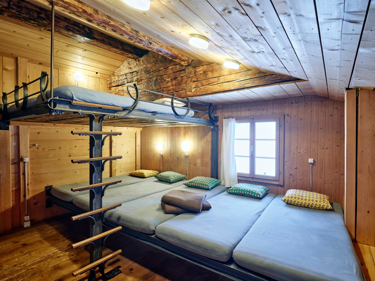 Holiday Chalet Ecolodge （团体住宅）