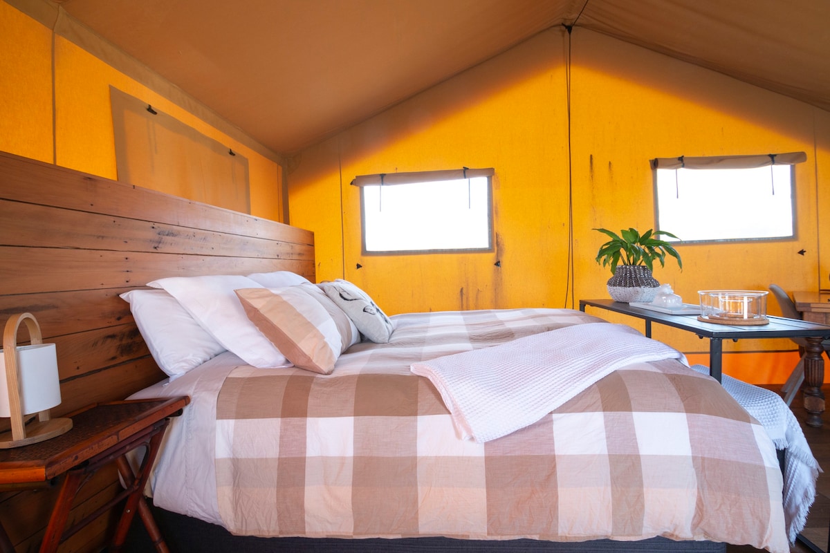 Coromandel 's Luxury Glamping Site