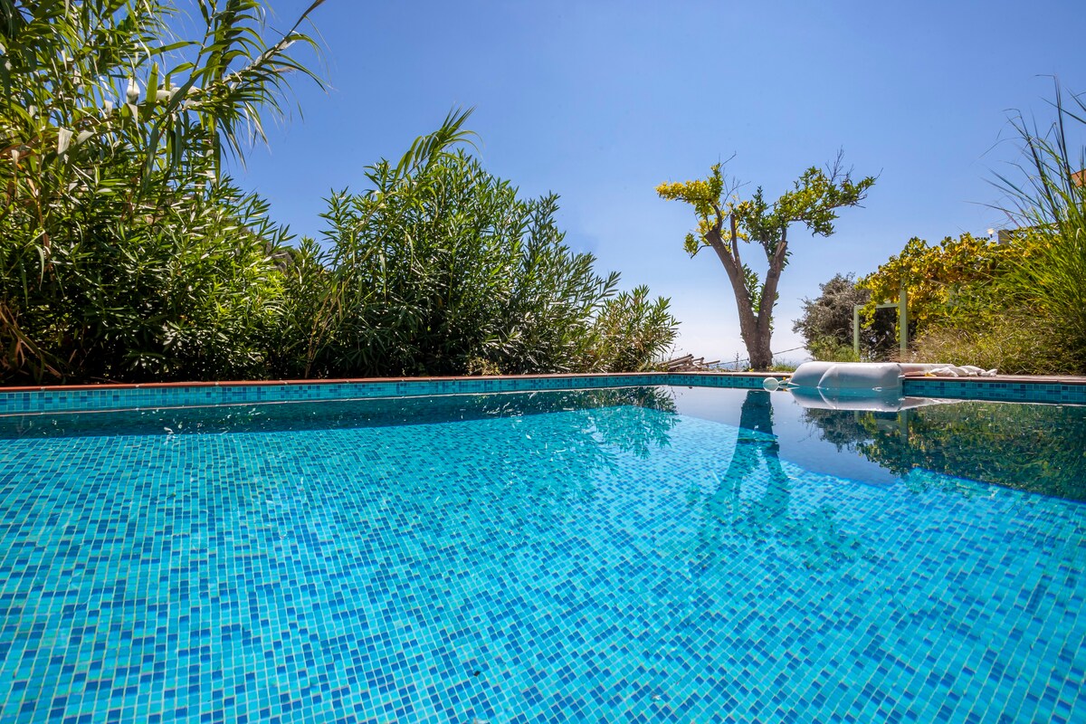 Olea Skopelos 2 villas, sea view and swimming pool