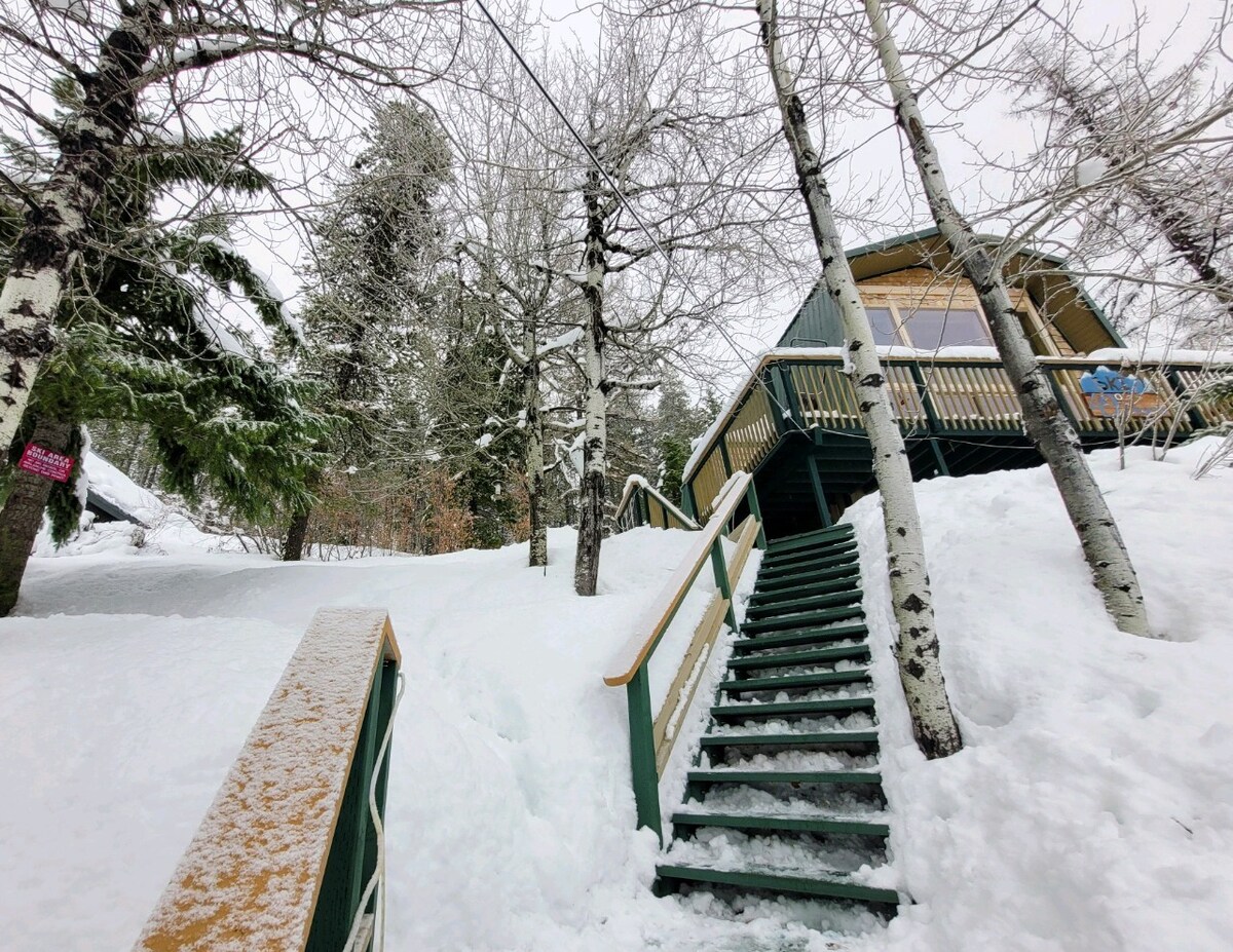 Sub-Alpine Sanctuary