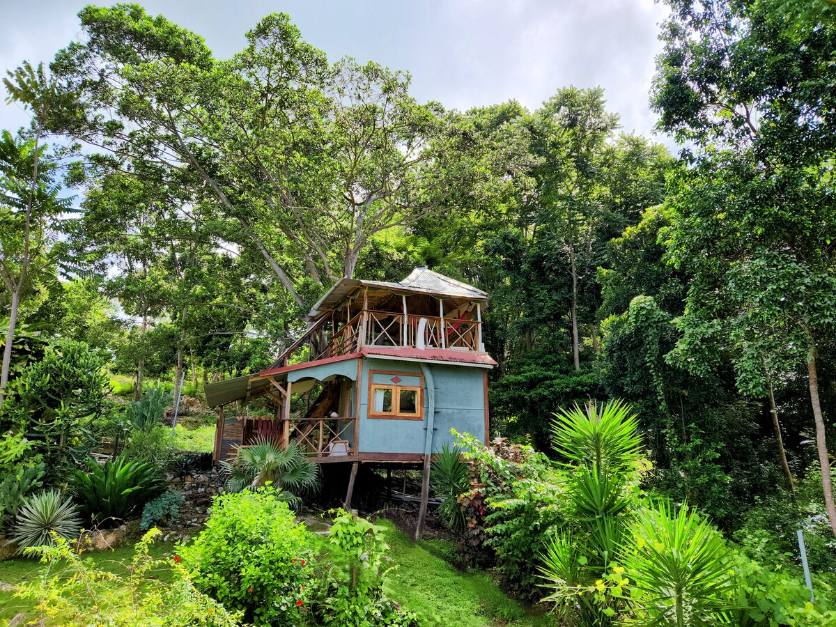 Papaya Hill "Bird Nest" Treehouse Cottage, Belmont